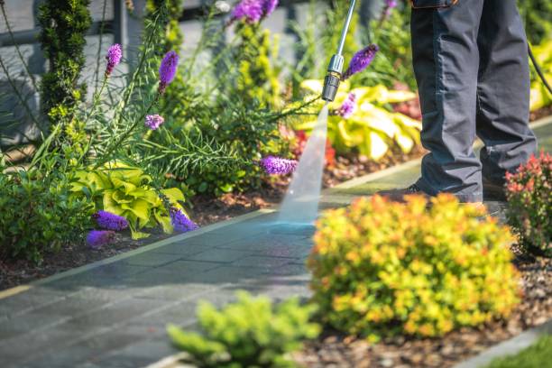 Best Sidewalk and Walkway Cleaning  in Carter, TX