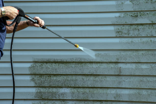 Best Roof Washing  in Carter, TX